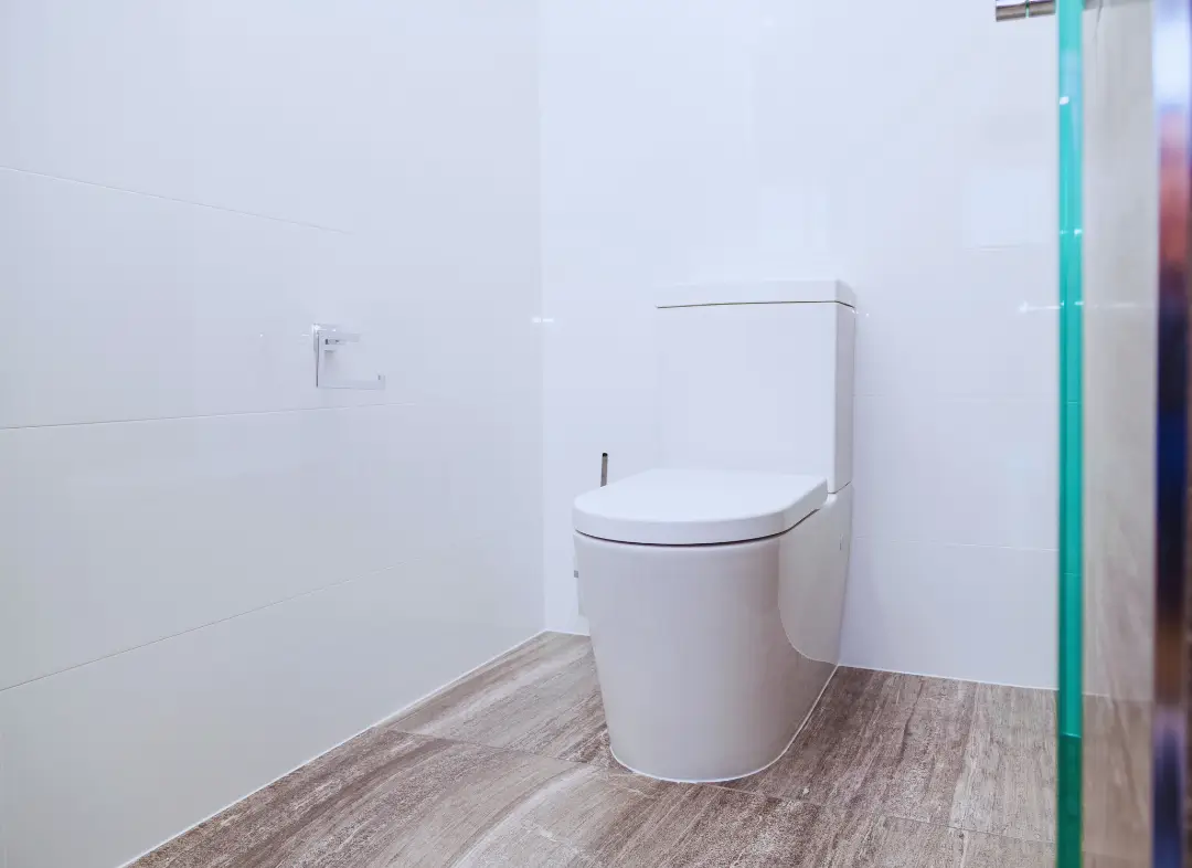 Remplacement de wc Cranves-Sales