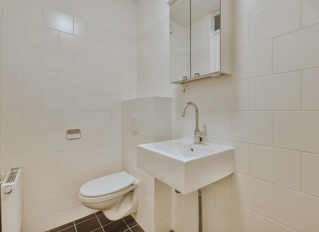 Pose WC Suspendu Cranves-Sales